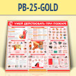      (PB-25-GOLD)